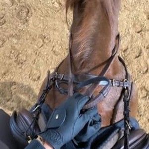 Meet your Posher, Cora